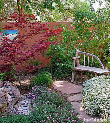 garden designs with japanese maples Landscaping Ideas